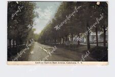 PPC Postcard NY New York Caledonia Looking East On East Ave Residential Street V picture