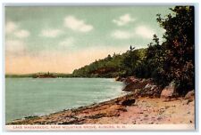 1907 Lake Massabesic Near Mountain Grove Auburn New Hampshire NH Postcard picture