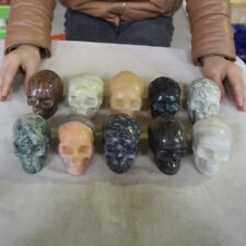 12.6LB 10Pcs Natural Jasper Calcite Skulls Crystal Carving Mixed Stones Healing picture
