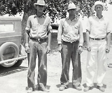 V6 Photograph 1942 Three Handsome Men Pose Group Photo Portrait Fedoras Old Car  picture