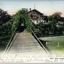 c1900s UDB Rockford ILL Swiss Cottage House Bridge Tinted Chas Axt Optician A189 picture