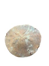 Fossil Sand Dollar. Approx 4 Inches Across, 88 Grams picture