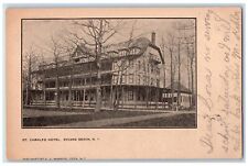 c1905 St. Charles Hotel Building Sylvan Beach New York NY Antique Postcard picture