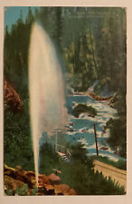 Vintage Postcard The Fountain, Shasta Springs, CA picture