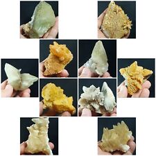 Amazing lot of DogTeeth Calcite Crystals from Baluchistan 12pcs 2.7kg Healing picture
