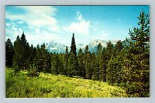 WY-Wyoming, Scenic View Hill And Forest Trees, Vintage Postcard picture