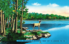 Scenery is Wonderful Dear But I'm Lonesome for You, Buck Deer, Vintage Postcard picture