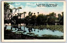 Mandarin, Florida - St. Johns River - Camp Joseph E. Johnston - Vintage Postcard picture