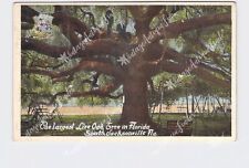 PPC Postcard FL Florida South Jacksonville Largest Live Oak Tree In Florida picture