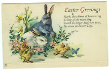 Easter Greetings Postcard Rabbits Chicks Butterfly c1910 picture