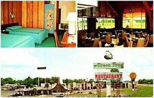 Adel GA GREEN FROG RESTAURANT QUALITY MOTEL Dairy Queen Georgia Postcard 524 picture