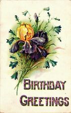 Antique Postcard Made In Germany Purple Yellow Iris Birthday Posted 1908 SL Co picture