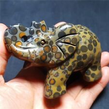 342.7g Natural Polished Leopard print Agate elephant Crystal Madagascar 36X08 picture