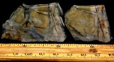 S-889a  ~  1.0oz 2pc Slab Primo Picasso Marble ~  Utah picture