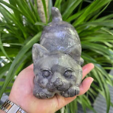 Natural Colorful Stone Quartz Hand Carved cat Skull Crystal Reiki Decor 150MM picture