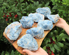 JUMBO Rough Natural Blue Calcite Chunks, Huge Raw Blue Calcite Crystals, Mexico picture
