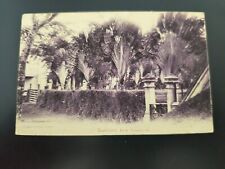 Antique Postcard - Traveller's Tree in Singapore - Early 20th Century picture