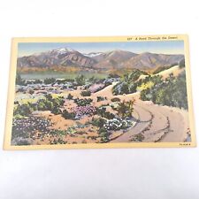 Picturesque -Spring in Southwest Desert- Scenic Landscape Postcard c1937 picture