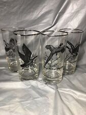 Vintage Federal Wild Birds Canada Silver Trim Glasses Tumblers Highball Barware picture