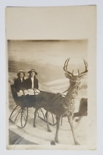 Antique RPPC Coney Island Taxidermy Reindeer Women In Sleigh Novelty Postcard picture