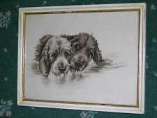 ORIG ANTIQUE WATERCOLOUR PAINTING OF 2 OTTERHOUNDS OTTER HOUND SIGNED DATED 1911 picture