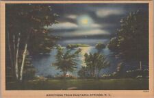 Postcard Greetings from Sanitaria Springs NY  picture