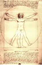 The Vitruvian Man by Leonardo Da Vinci, Art Drawing circa 1490 - Modern Postcard picture