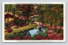 View Azalea Ravine Gardens Palatka Florida FL WB Postcard PM Cancel WOB Note VTG picture