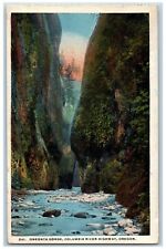 Oneonta Oregon OR Postcard Oneonta Gorge Columbia River Highway 1924 Antique picture