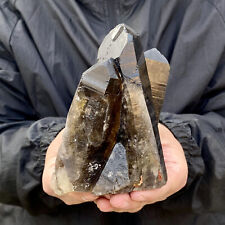 1.5LB Natural Tea black Crystal quartz Cluster Mineral Specimen Healing reiki picture