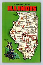 IL-Illinois, Land Marks Map And State Flower General Greetings Vintage Postcard picture