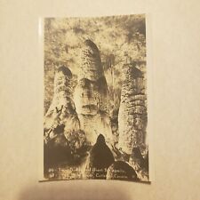 RPPC Entrance Bat Flight Flying Carlsbad Caverns National Park Vintage Postcard picture