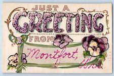 c1950's Just A Greetings From Montfort Flowers Wisconsin Correspondence Postcard picture