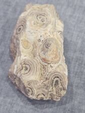 289g Exceptional Ancient Agate  picture