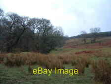 Photo 6x4 Waiting for spring Maam Typical hill scene, marshy reed beds in c2007 picture