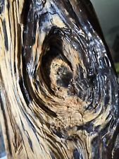 black/white Petrified Wood Knots Incredible Specimen.  picture