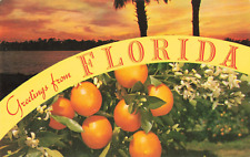 Greetings from Florida, Sunset View & Oranges, Vintage Postcard picture