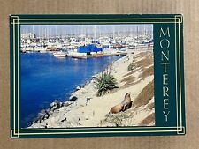 Postcard Monterey CA California Boat Basin Marina Sea Lion Vintage PC picture