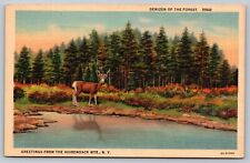 Adirondack Mountains - NY - Deer - Water - Buck picture