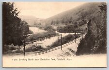Massachusetts Berkshire Park Pittsfield Rotograph Postcard picture