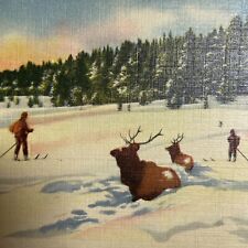 Postcard MT Yellowstone National Park Elk Stalled in Snow Curteich-Chicago 1935 picture