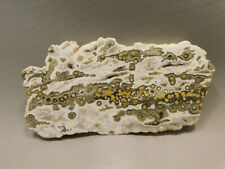 Ocean Jasper Polished Stone Endcut Natural Decorator Rock #O23 picture