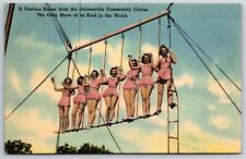 Lone Star Stamp Co. Gainesville Circus Women Linen Postcard NP c1940's-50 Scarce picture