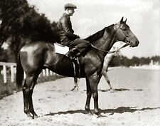 Champion Race Horse SEABISCUIT Pollard Up Classic 1938 Picture Photo 8x10 picture