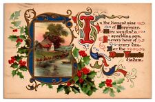 1910 New Years, Country Scene, Holly, Embossed, Greetings Postcard picture