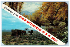c1950's Multiview, Greetings from Craig-Metropolis of Northwest CO Postcard picture