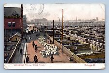 Commercial Avenue Stock Yards Chicago Illinois IL 1908 DB Postcard M8 picture
