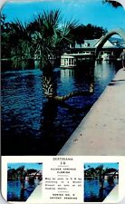 Silver Springs Florida Lucky Wishing Tree Postcard picture