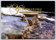 Yellowstone National Park Vintage Postcard Continental picture