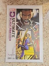 ULTIMATE BLACK PANTHER #4 Main Stefano Caselli Cover A (2420) picture